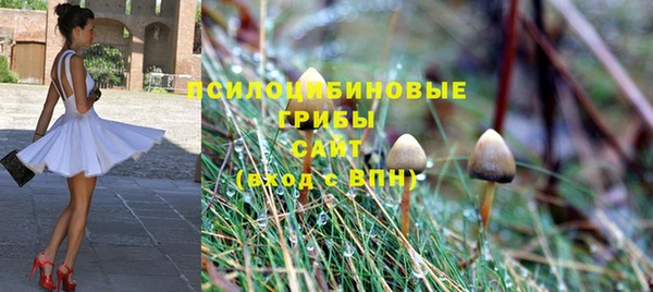 метадон Абаза