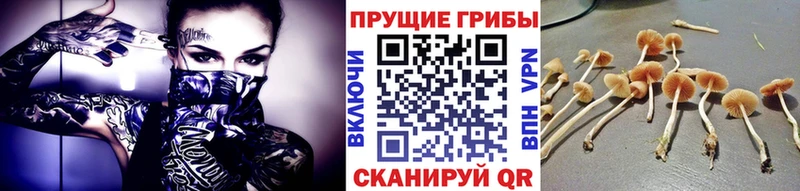 МЕГА зеркало  Звенигород  Галлюциногенные грибы мицелий  хочу наркоту 