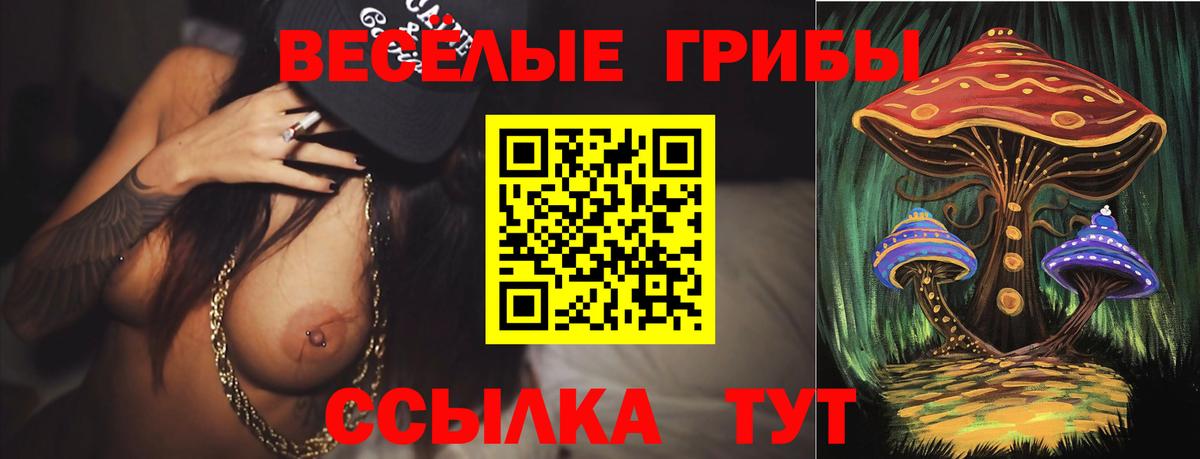 Галлюциногенные грибы MAGIC MUSHROOMS  Вход с VPN  Звенигород 